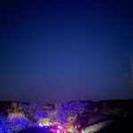 9c877b2c-039d-4434-95db-528aa369326a